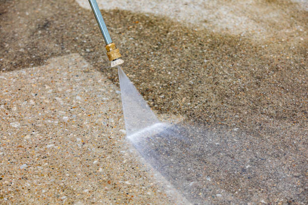 Best Pre-Holiday Cleaning  in Buckhead Ridge, FL