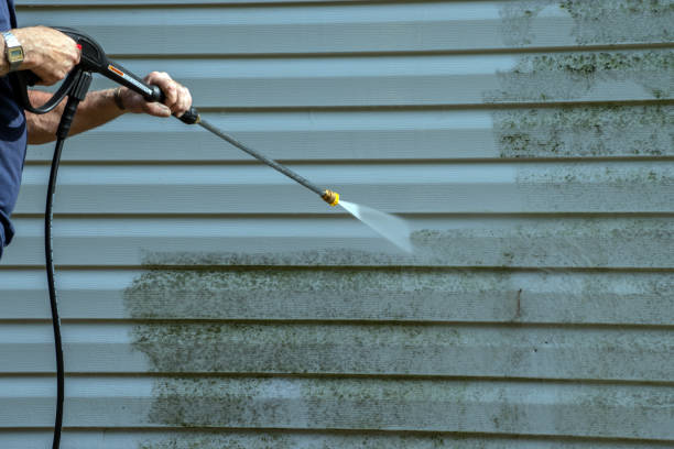 Best Paint Preparation  in Buckhead Ridge, FL